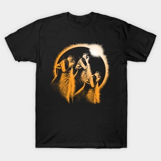 Racoon Eclipse T-Shirt